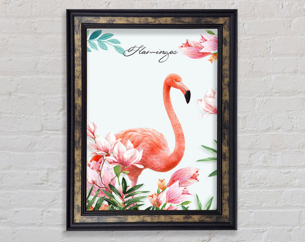 Lovely Flamingo Framed Print