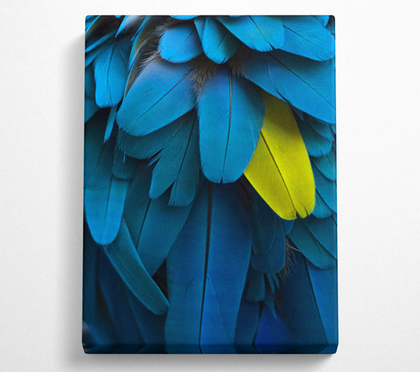  A Canvas Print of Macro Parrot Feathers Canvas Print