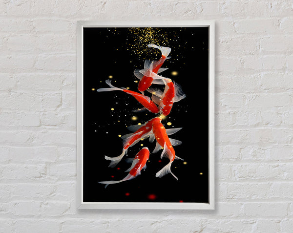 Midnight White Koi Fish