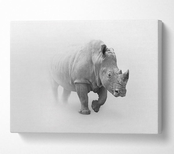  A Canvas Print of Misty Rhino Canvas Print