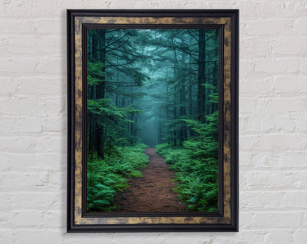 Misty Trail Framed Print