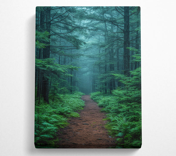  A Canvas Print of Misty Trail Canvas Art