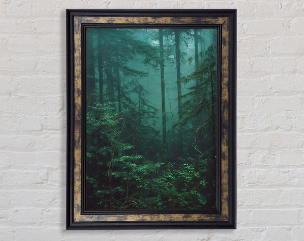 Moody Dark Woodland Framed Print