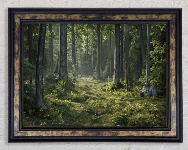 Old Forest Greenery Framed Print