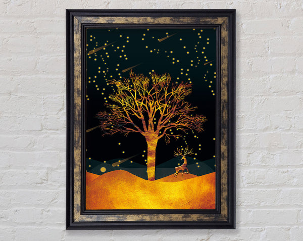 Orange Comet Tree Framed Print
