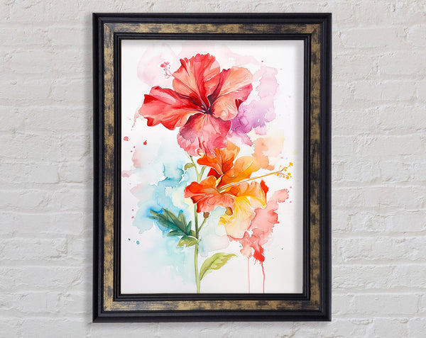 Orange Flower Watercolours Framed Print