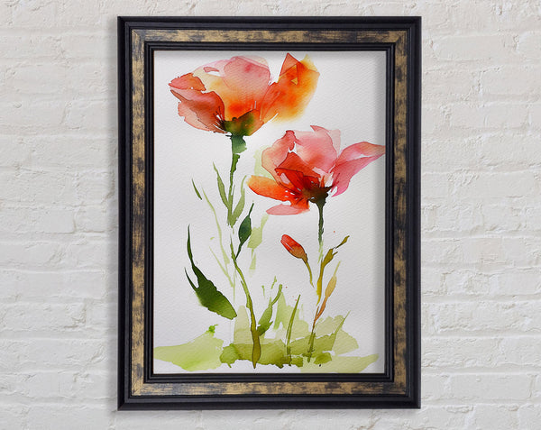 Orange Flowers In Watercolour Framed Print