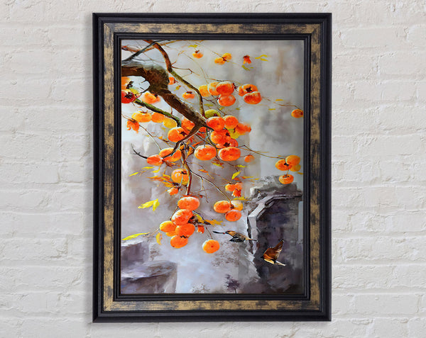 Oranges On A Tree Framed Print