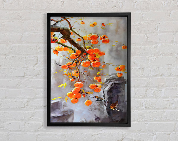 Oranges On A Tree Framed Print
