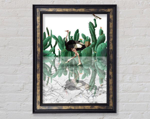 Ostridge Cactus Framed Print