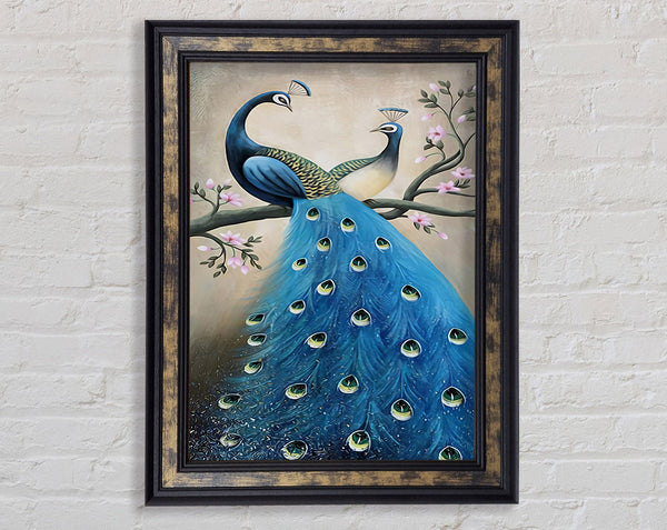 Pair Of Peacocks Framed Print