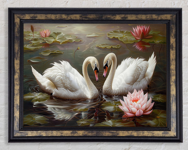 Pair Of Swans Framed Print