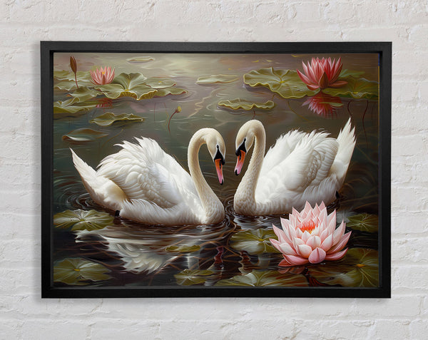 Pair Of Swans Framed Print