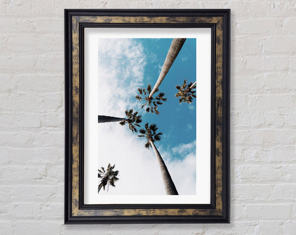 Palm Trees Framed Print