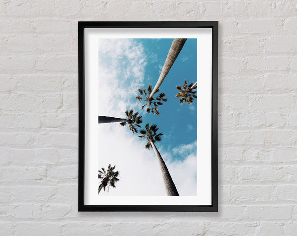 Palm Trees Framed Print