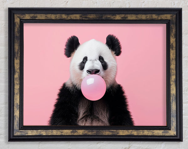 Panda Bubble Gum Framed Print