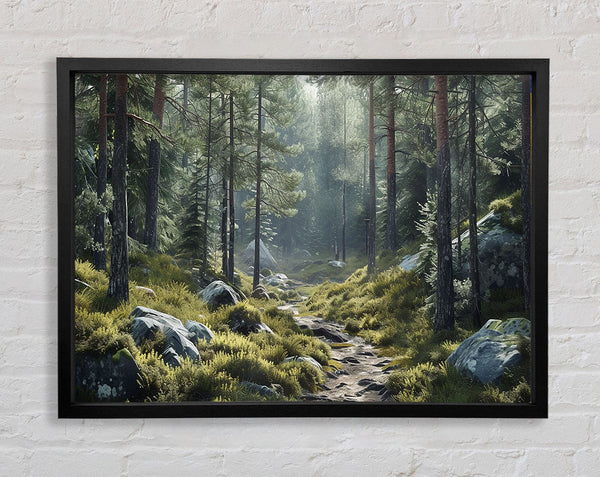 Pathway Into The Woods Framed Print