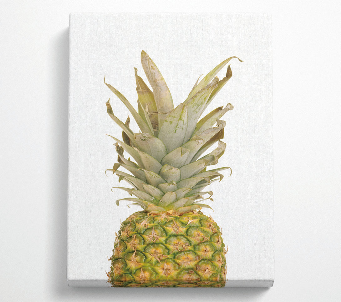  A Canvas Print of Pineapple Canvas Art