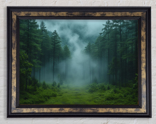 Pinewoods Mist Framed Print