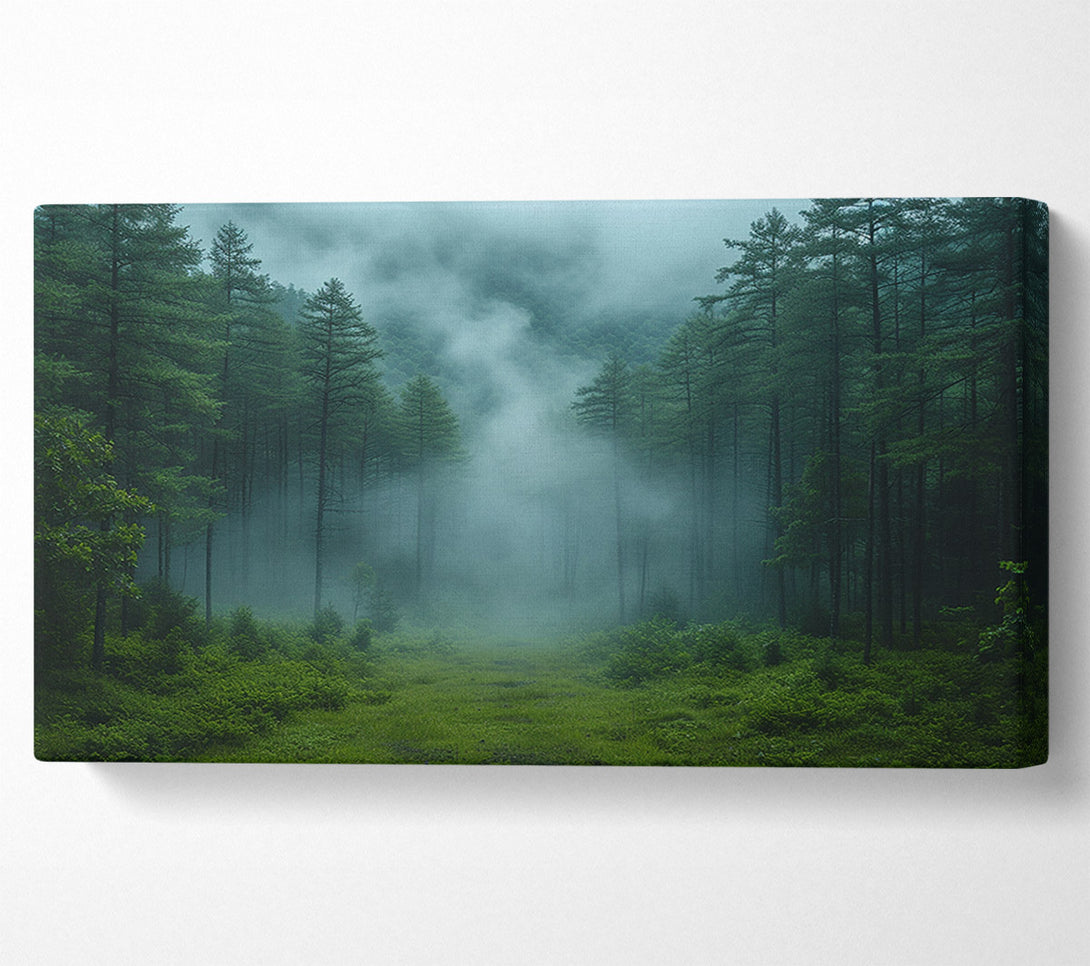  A Canvas Print of Pinewoods Mist Canvas Art