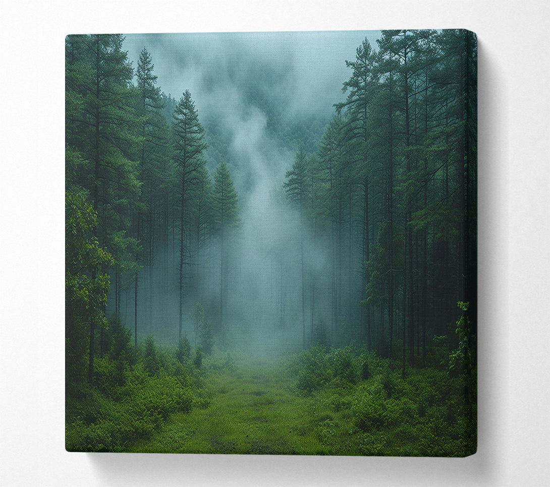  A Canvas Print of Pinewoods Mist Canvas Art