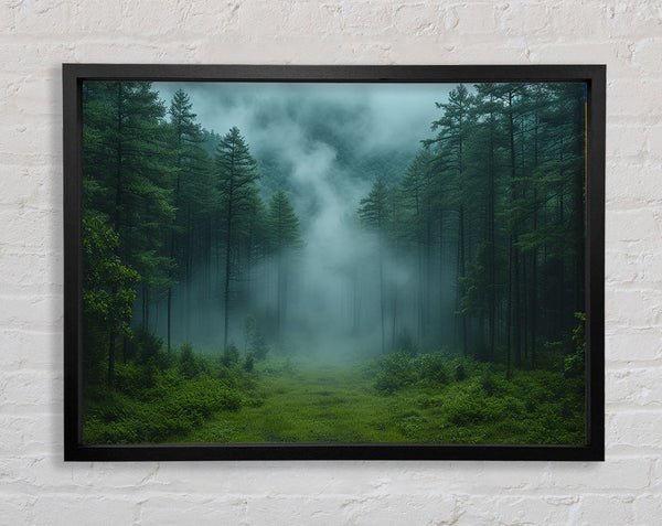 Pinewoods Mist Framed Print