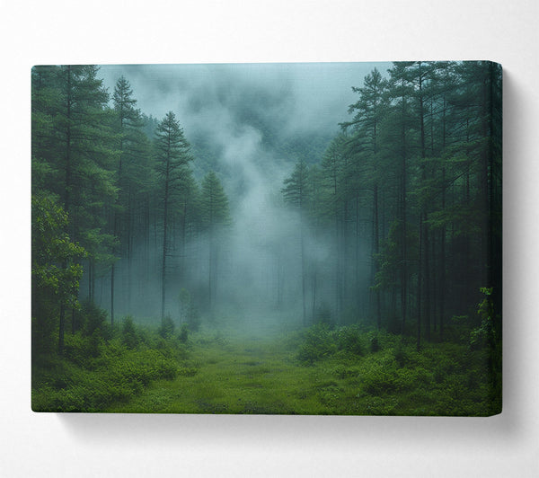  A Canvas Print of Pinewoods Mist Canvas Art