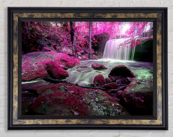 Pink Blossom Waterfall Framed Print
