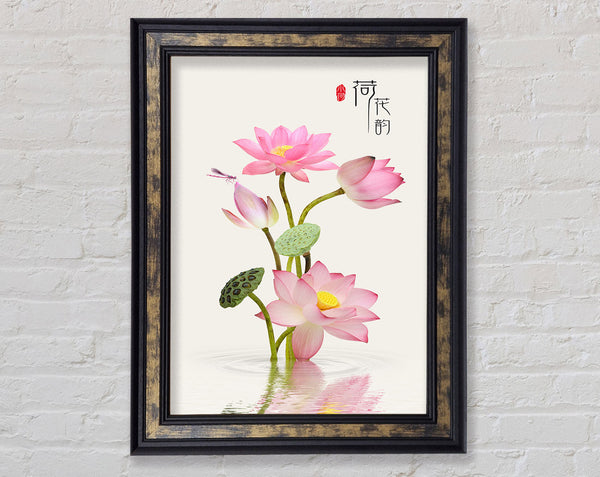 Pink Flower In Water Framed Print