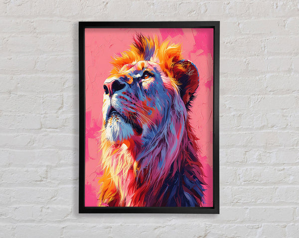 Pink Lion Stare Framed Print