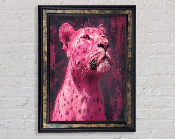 Pink Lioness Framed Print