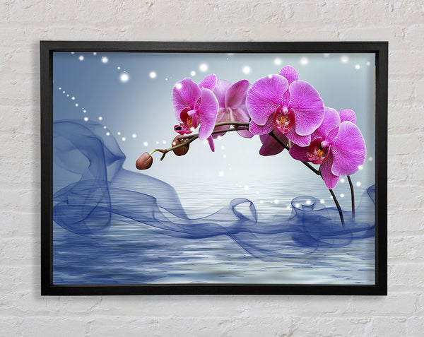 Pink Orchid Arch Framed Print