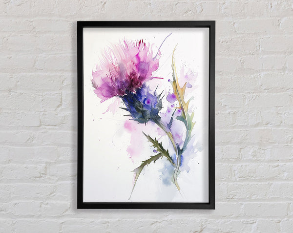 Pink Thistle Framed Print