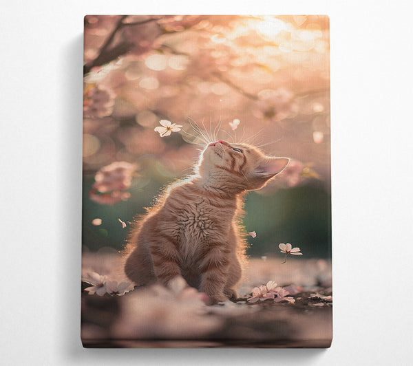  A Canvas Print of Playful Kitten Canvas Print