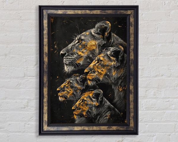 Pride Of Lions Framed Print