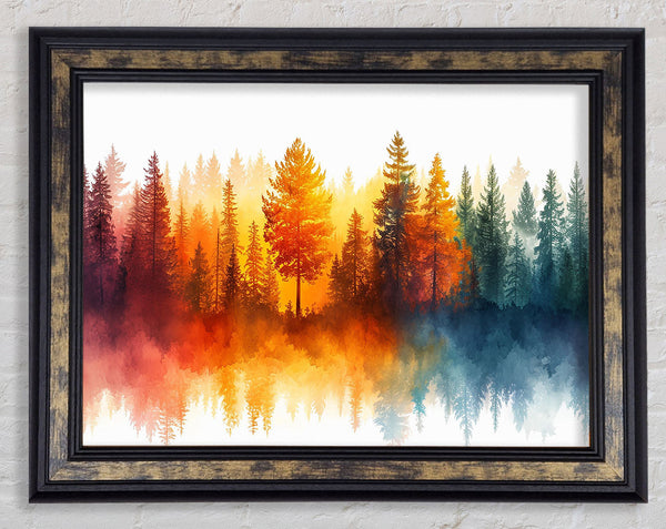 Rainbow Forest Framed Print