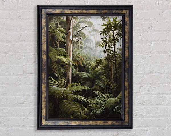 Rainforest Framed Print