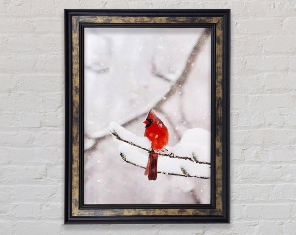 Red Cardinal Snowy Framed Print