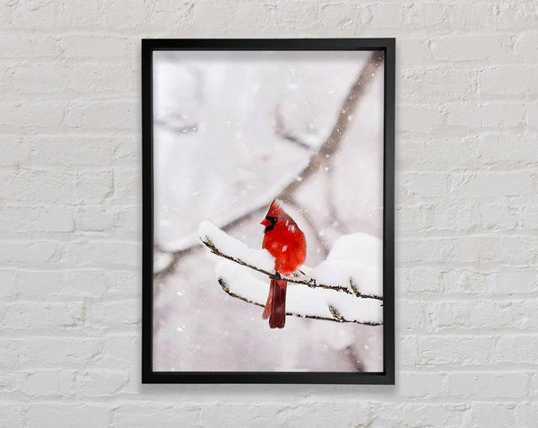 Red Cardinal Snowy Framed Print