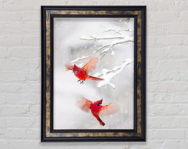 Red Cardinals Snow Framed Print