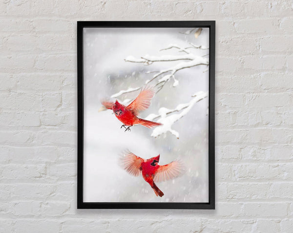 Red Cardinals Snow Framed Print