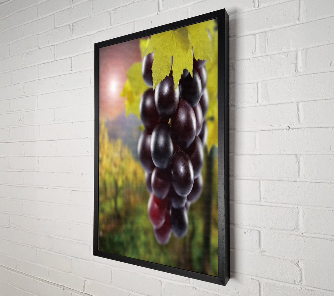  A Canvas Print of Red Grapes Canvas Print