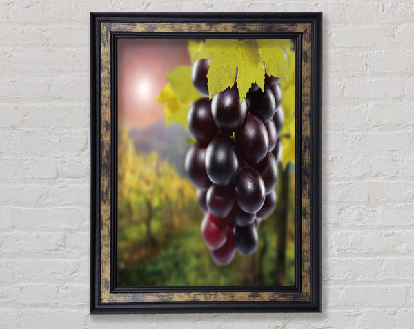 Red Grapes Framed Print