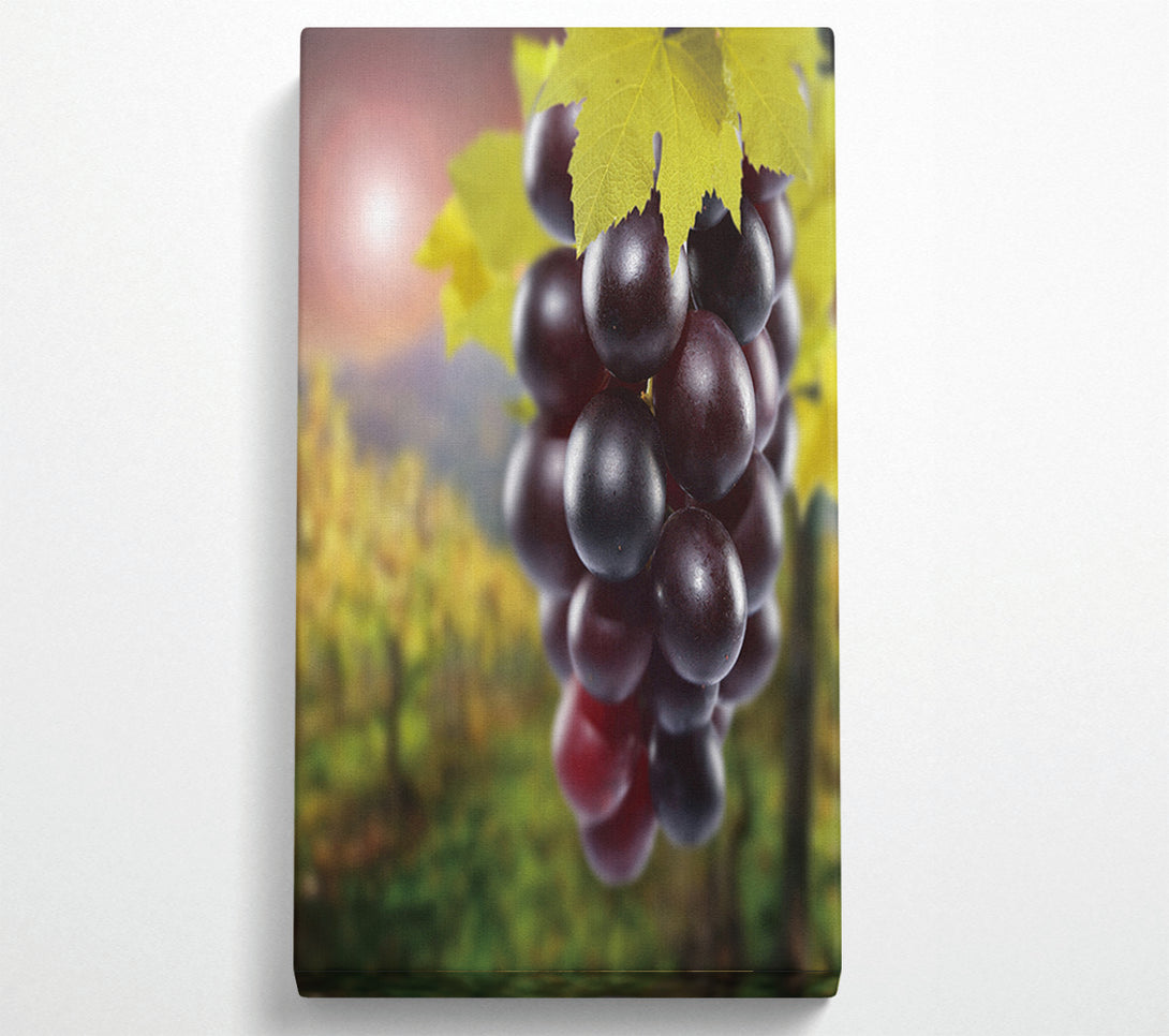  A Canvas Print of Red Grapes Canvas Print