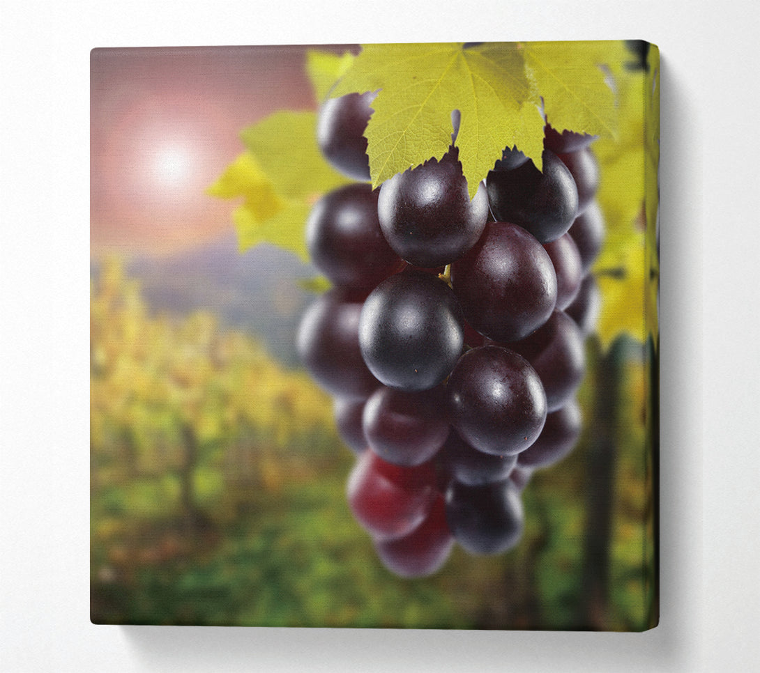  A Canvas Print of Red Grapes Canvas Print