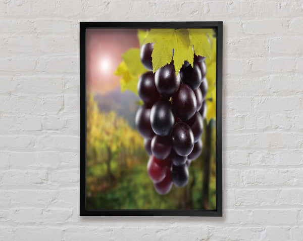 Red Grapes Framed Print