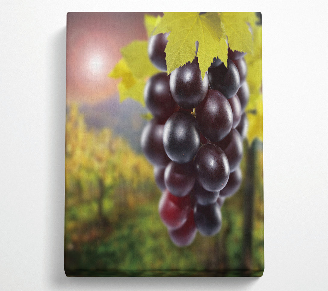  A Canvas Print of Red Grapes Canvas Print