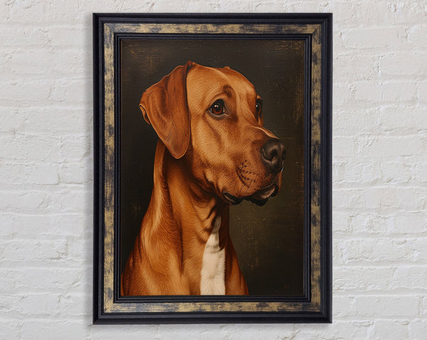 Rhodesian Ridgeback Oil Painting Framed Print