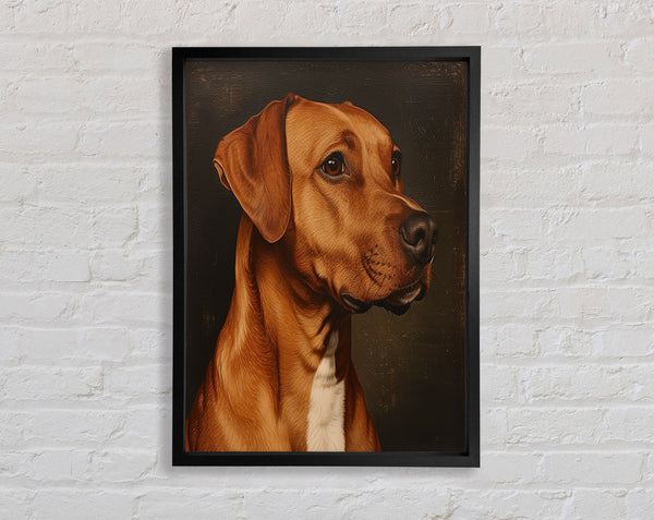 Rhodesian Ridgeback Oil Painting Framed Print