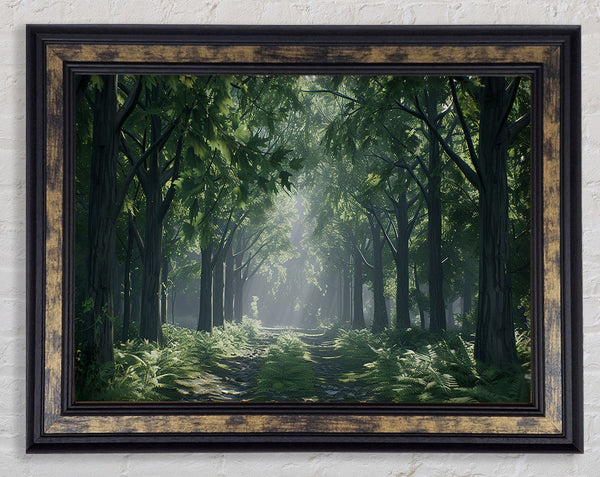 Road To The Forest Framed Print